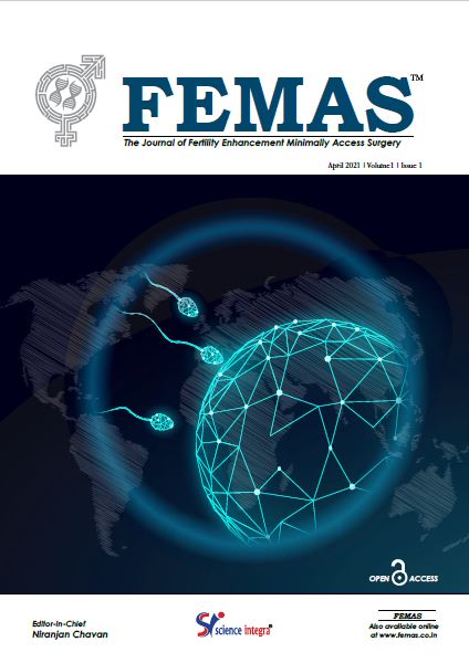 FEMAS Journal - Issue 1